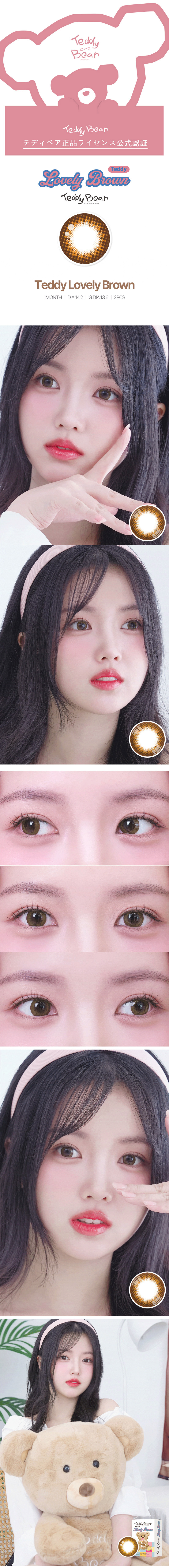 [1 Month/ブラウン] テディベア ラブリー (1箱 2枚)