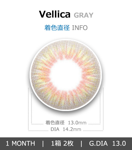 [1 Month/グレー] ベリカ シリコン (1箱 2枚)4