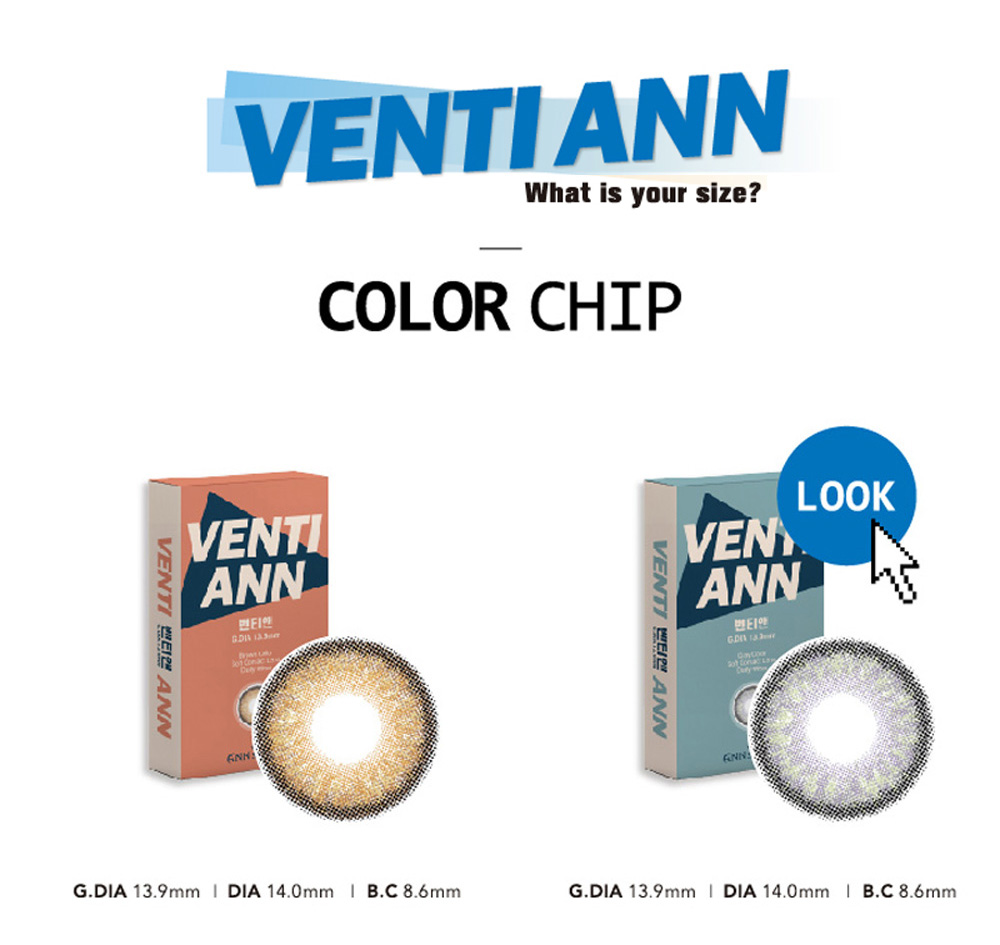 [1 Month/グレー] ベンティ アン (1箱 2枚)