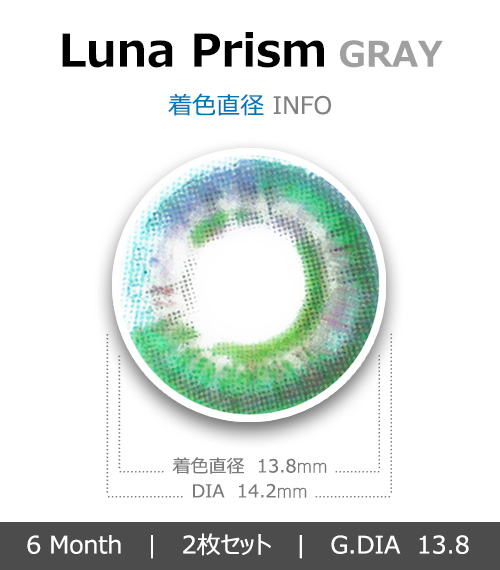 [グレー/GRAY] ルナ プリズム シリコン4