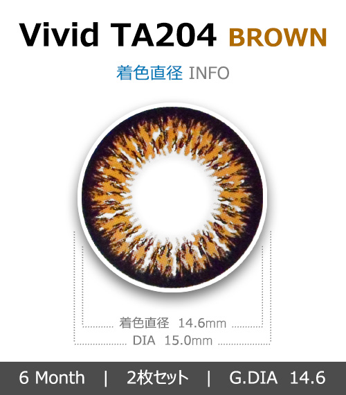 [ブラウン/BROWN] ビビッド4