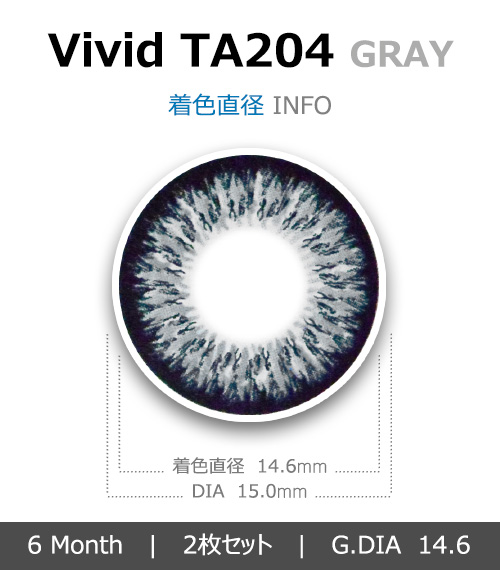 [グレー/GRAY] ビビッド4