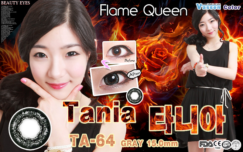 [グレー/GRAY] タニア64