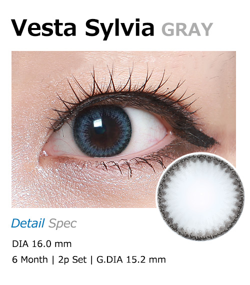 [グレー/GRAY] ベスタ シルビア1