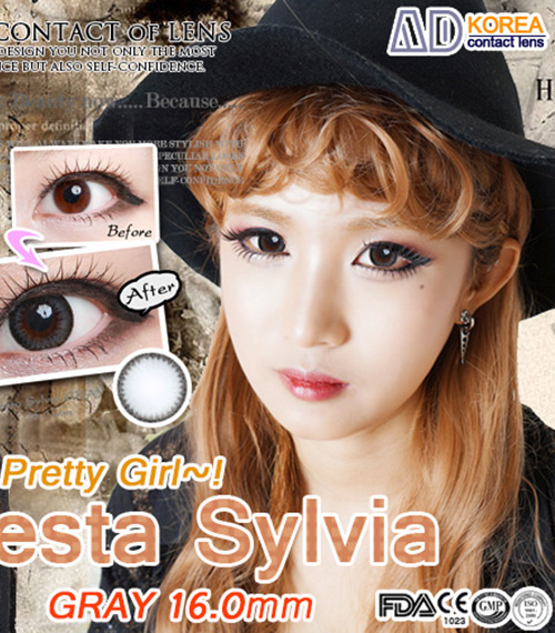 [グレー/GRAY] ベスタ シルビア3