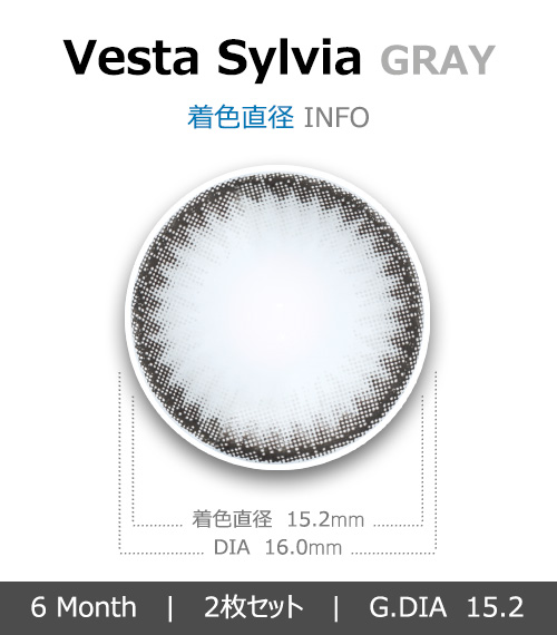 [グレー/GRAY] ベスタ シルビア4